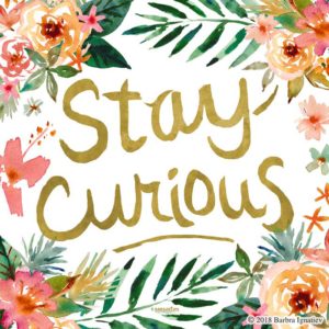 STAY CURIOUS Tropical Floral Quote